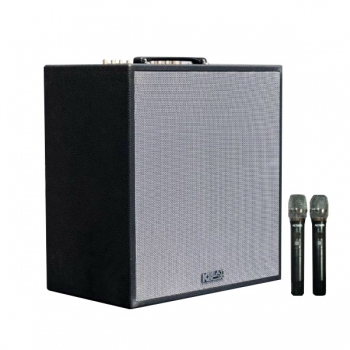 Loa karaoke di động Acnos CS300