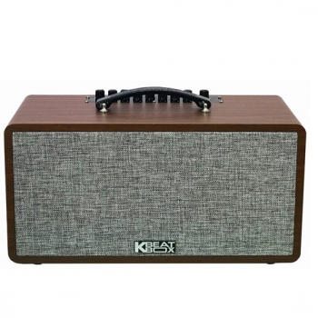 Loa Karaoke Di Động Acnos Cs390