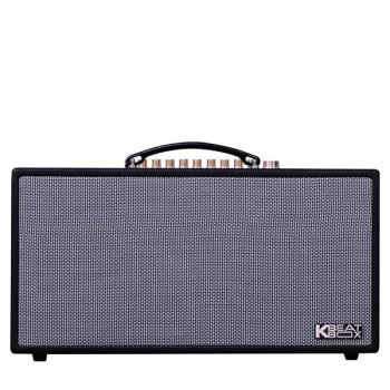 Loa kéo di động Acnos CS450SR